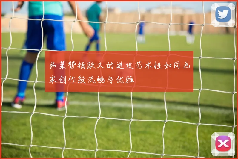 弗莱赞扬欧文的进攻艺术性如同画家创作般流畅与优雅